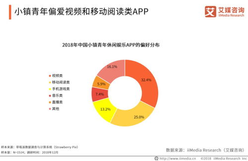 《从阅读到互联 2018-2019中国小镇青年移动阅读产品使用报告解读》